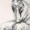 14 pastel drawing rlammas d