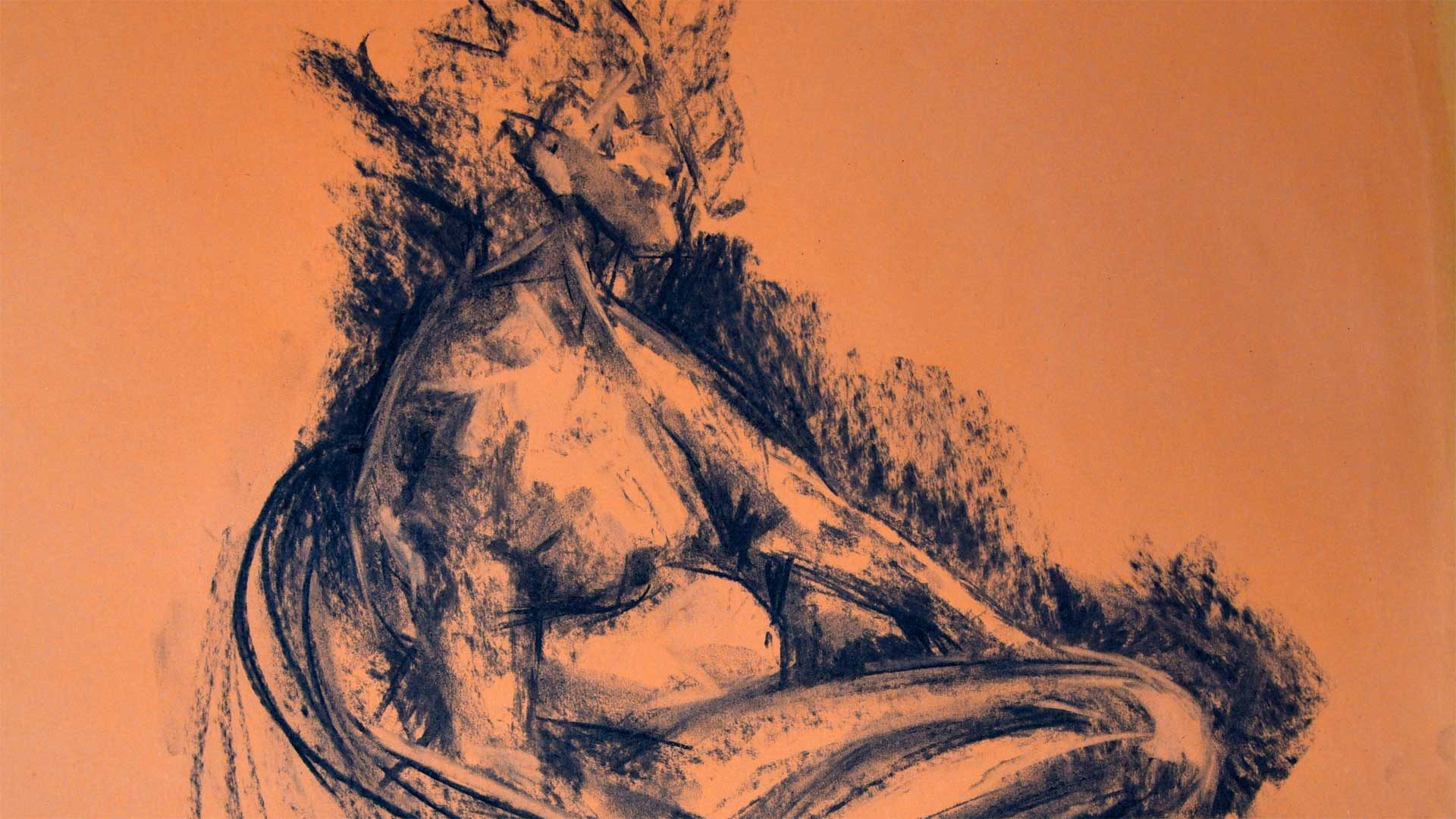 Banner 01 charcoal drawing rlamma