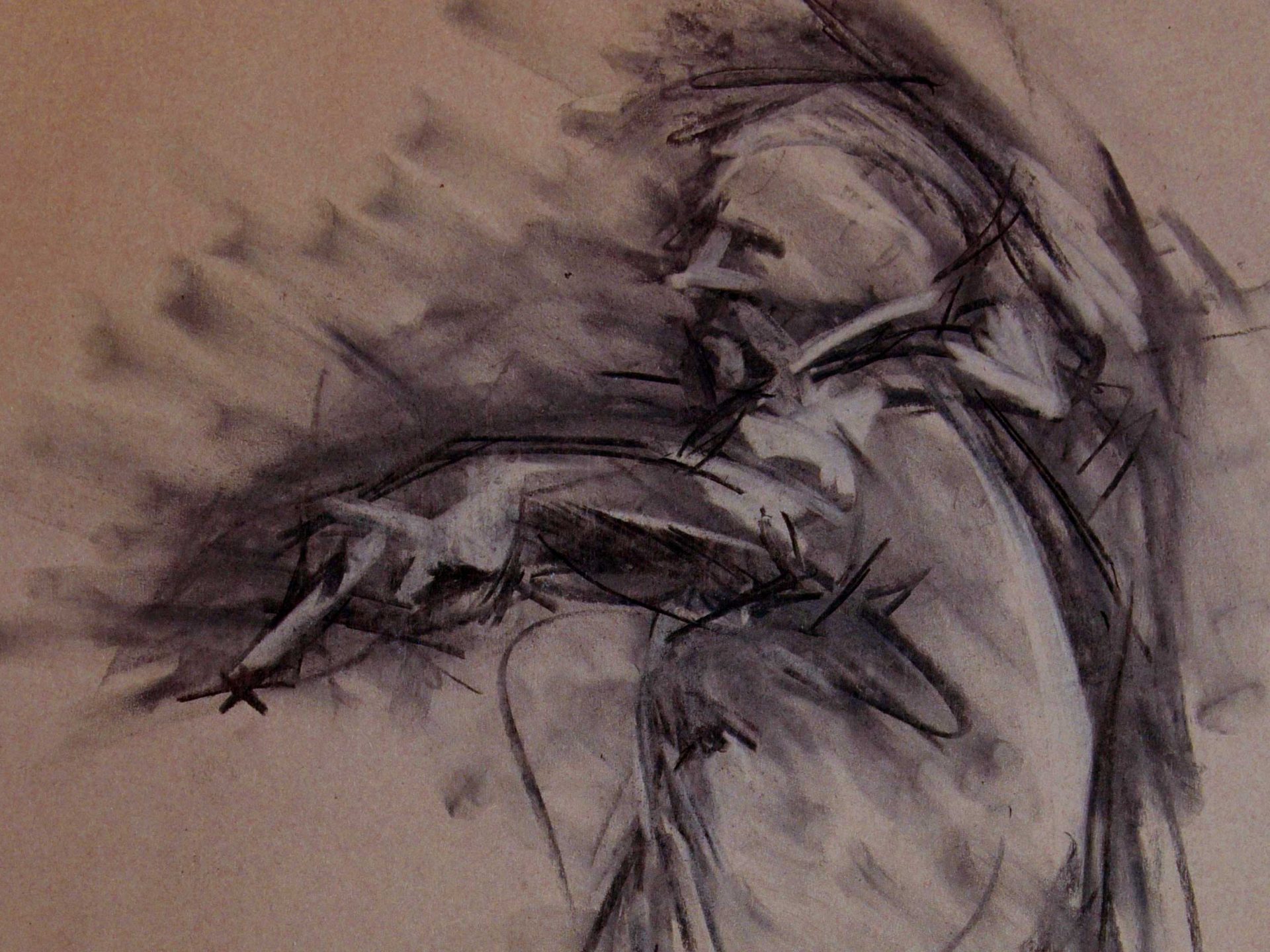 Banner 02 charcoal drawing rlammas
